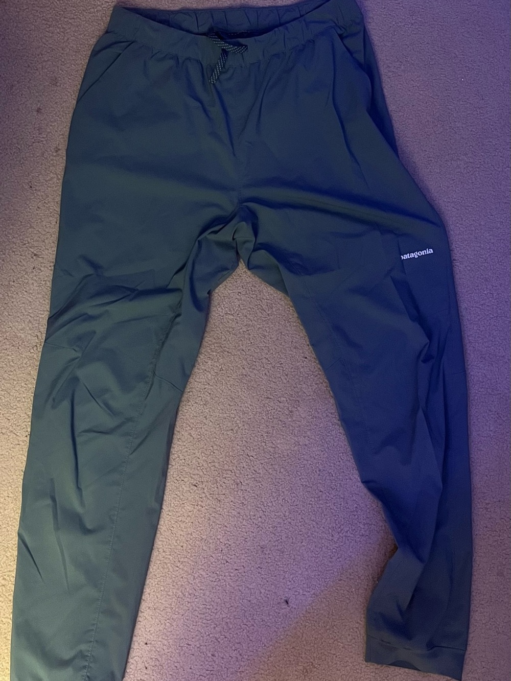Patagonia Green/Blue Lightweight Outdoor Pants